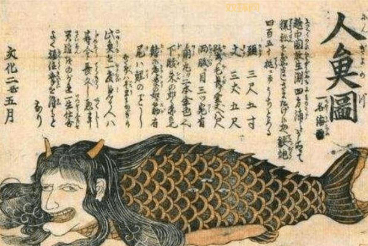 人鱼兽是真的吗？专家揭秘这种神秘生物的真相！