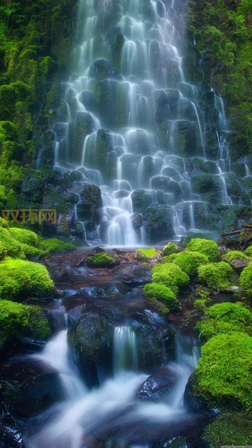 友人手机论坛怎么下载资源？这些方法很实用！