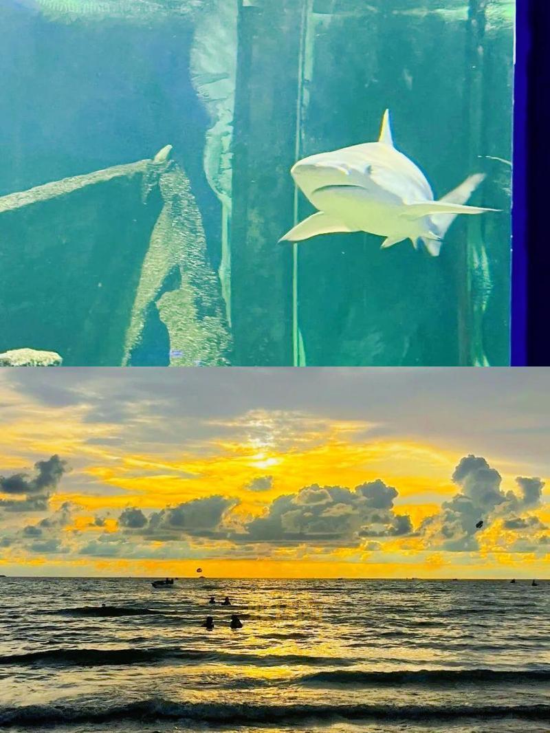 怎么去海底需要什么条件？不是所有人都能去要注意！