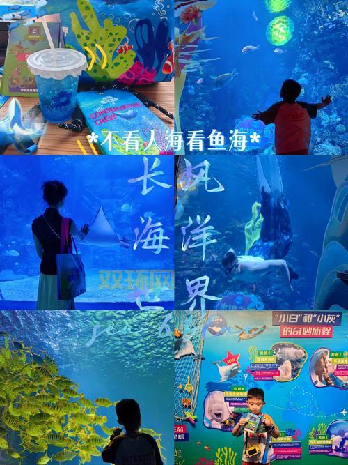 怎么去海底需要什么条件?不是所有人都能去要注意!