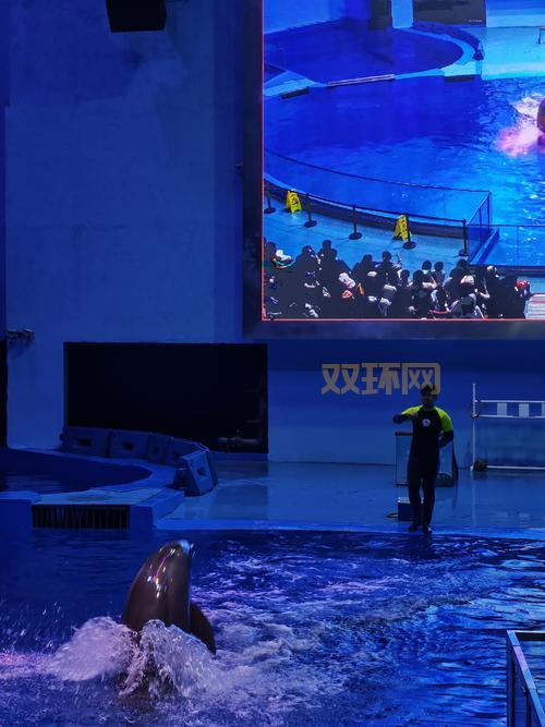 怎么去海底需要什么条件?不是所有人都能去要注意!