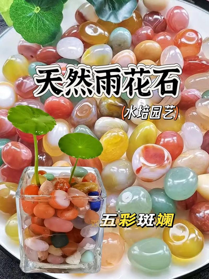 哪里能买到好看的五彩珊瑚碎片？这几个地方值得看看。