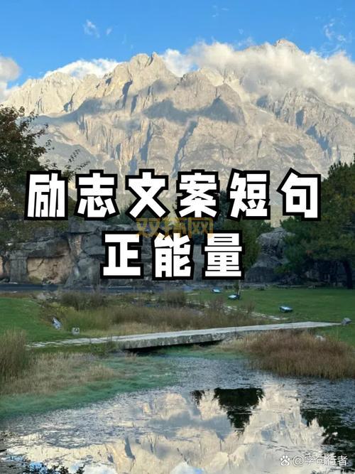 夜间正能量入口不用到处求，这里有你想要的温暖！