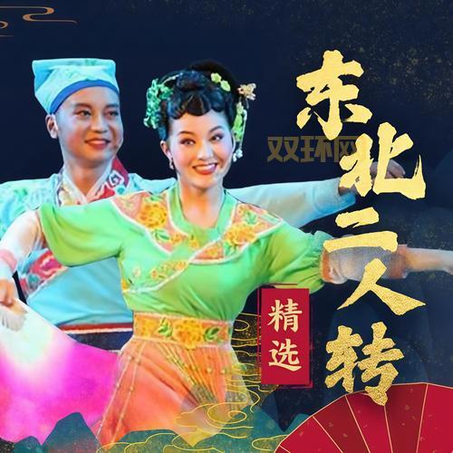 想下载二人转怎么办？超简单的下载方法分享！