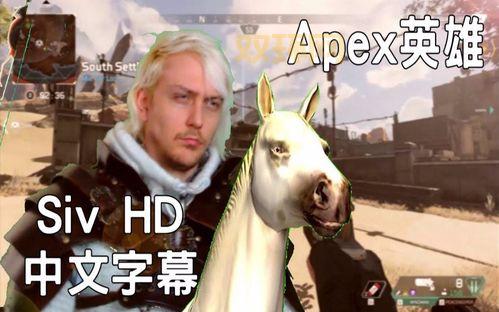 Siv HD的最新视频去哪看？关注这几个平台就对了！