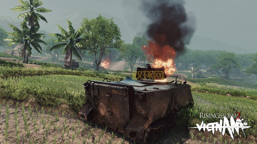 RISINGSTORM2进不去怎么办？一招教你解决游戏难题！