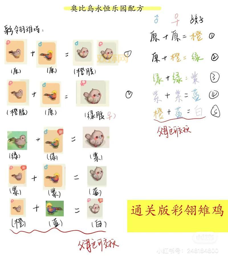 想玩转永恒多玩？这些进阶技巧你必须掌握！
