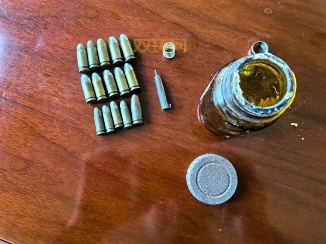 弹药用什么武器好?高玩分享各种枪的子弹搭配!