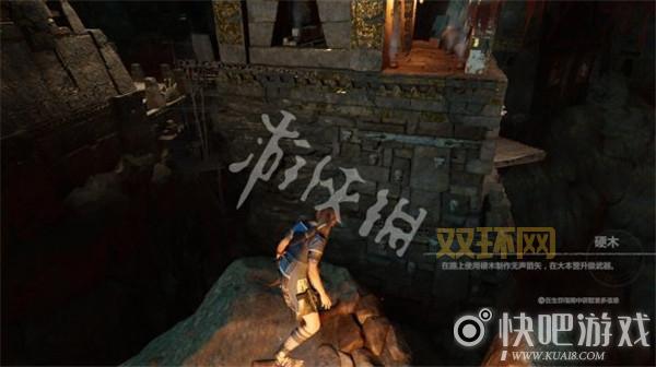 丽影论坛打不开怎么回事？解决方法看这里！