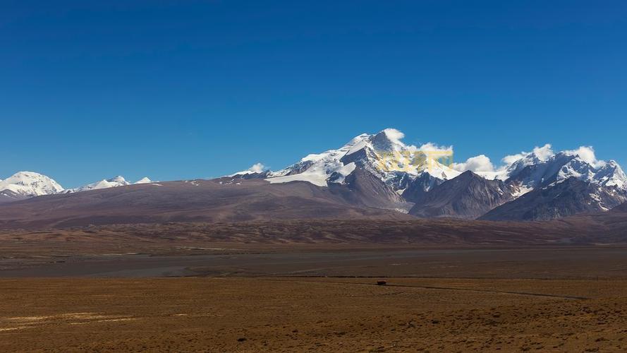 大神官的印记在哪里?最全获取地点详细盘点!