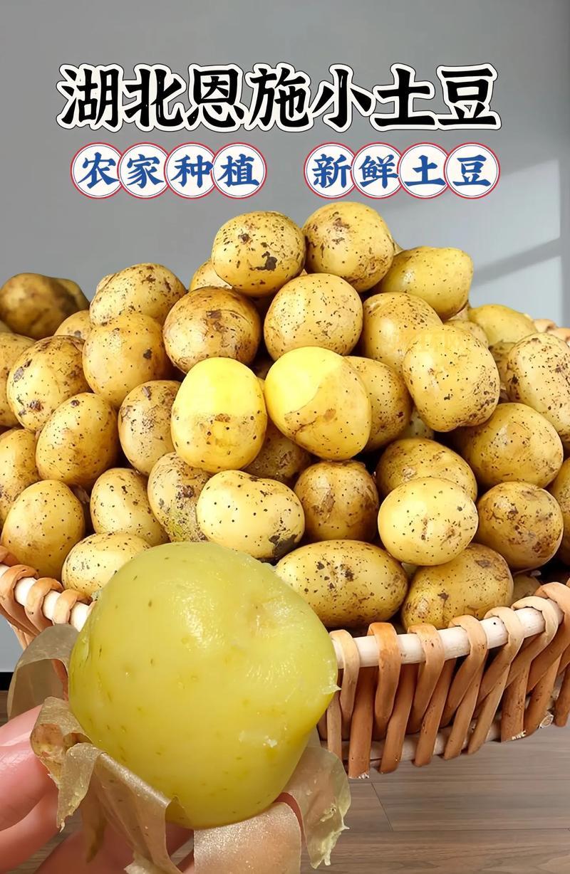 义乌土豆团购网,本地农户直供,新鲜看得见!