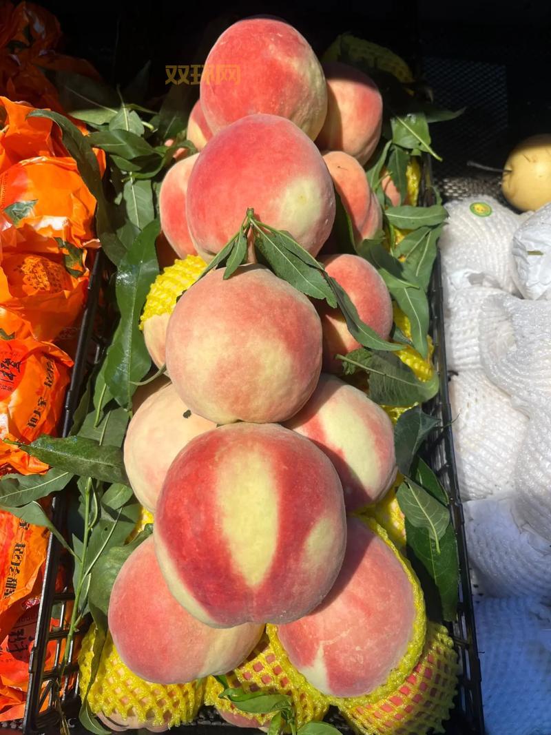 义乌土豆团购网,本地农户直供,新鲜看得见!