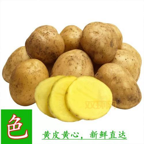 义乌土豆团购网,本地农户直供,新鲜看得见!