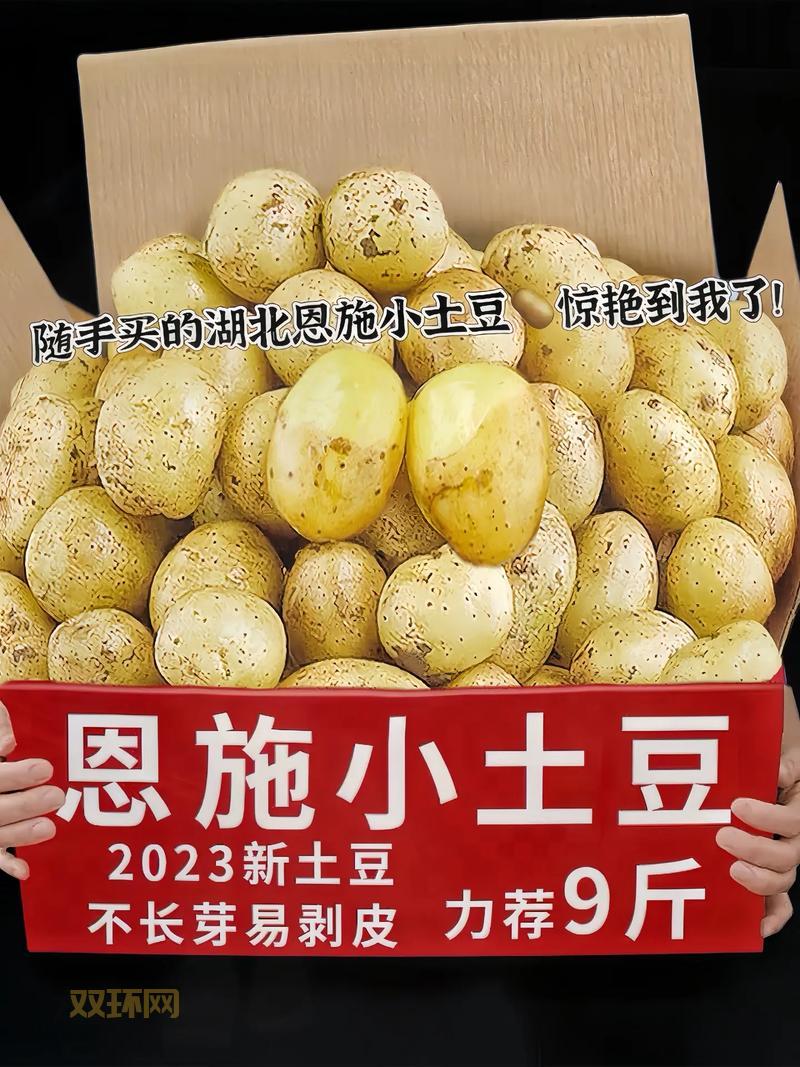 义乌土豆团购网,本地农户直供,新鲜看得见!