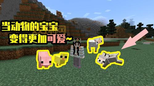 我的世界怎么养动物?老玩家分享实用技巧!