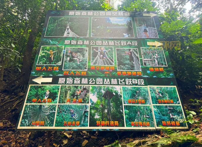 卡桑琅丛林怎么玩？老玩家带你深度体验！