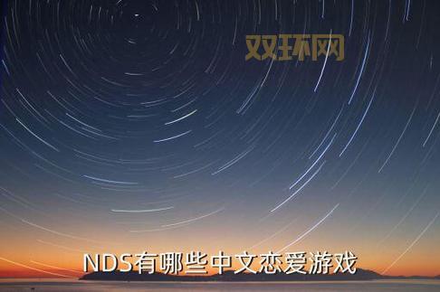 nds爱相随好玩吗？这款经典恋爱游戏不要错过！