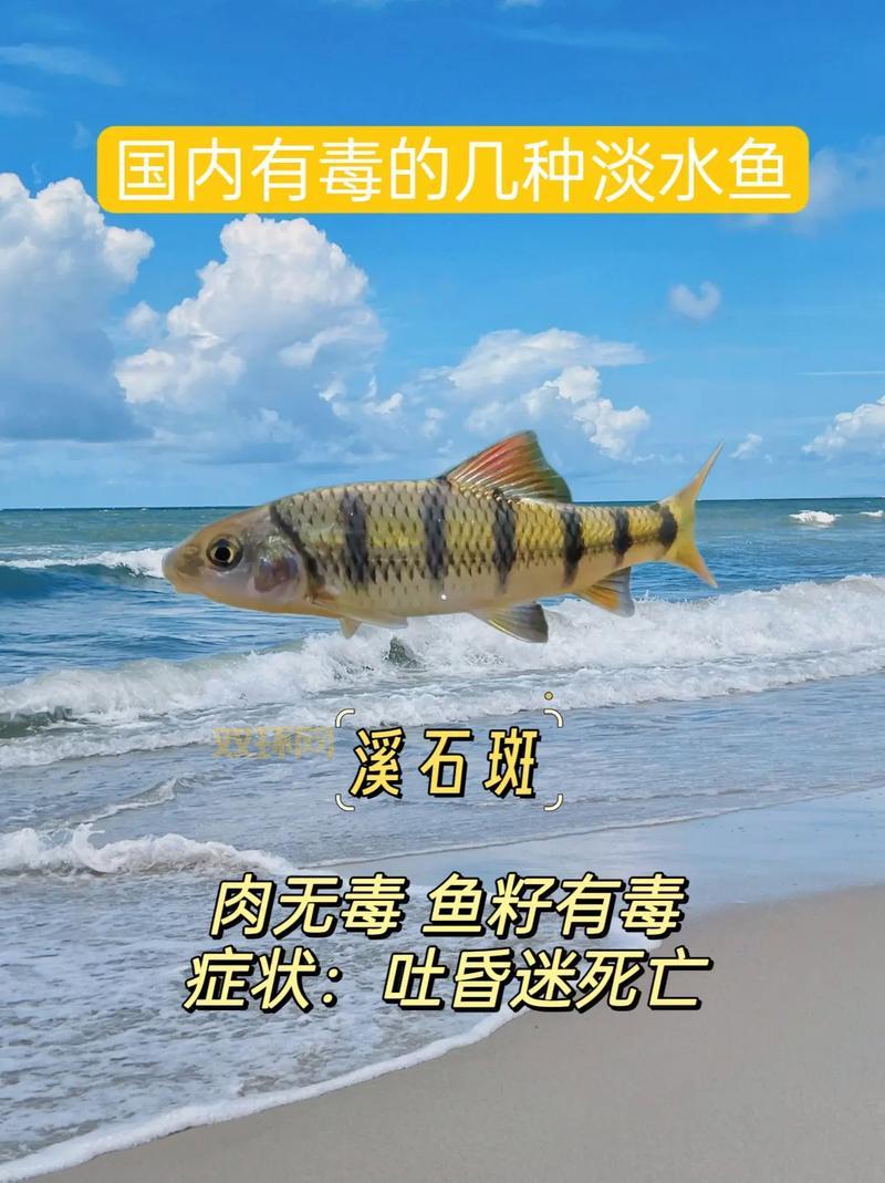 如何分辨鱼毛骨悚然的蠕动？这几种情况要特别注意！