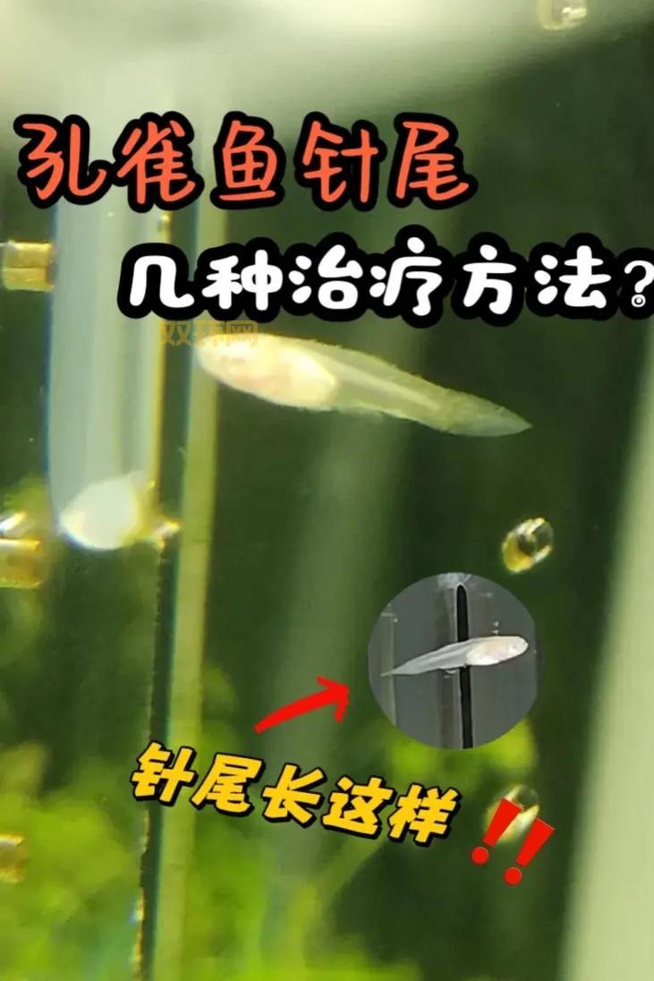 如何分辨鱼毛骨悚然的蠕动？这几种情况要特别注意！