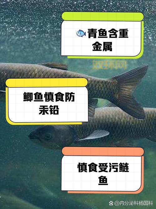 如何分辨鱼毛骨悚然的蠕动？这几种情况要特别注意！