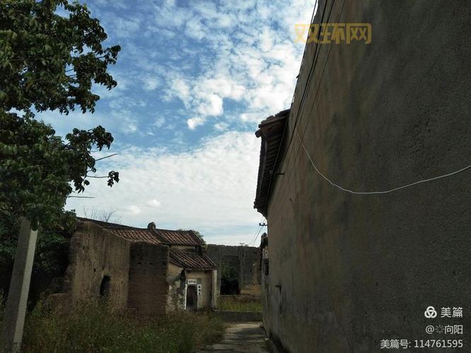 农牧盗匪太猖獗怎么办？这几个办法或许有用！