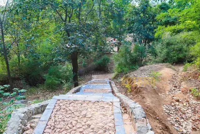 农牧盗匪太猖獗怎么办？这几个办法或许有用！