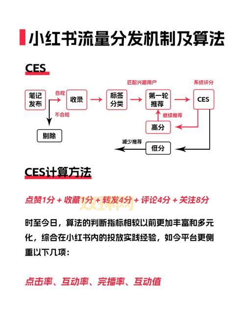 巨星成长计划2.4技巧：教你如何打造顶级流量巨星！