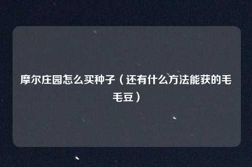 摩尔庄园怎么买种子（还有什么方法能获的毛毛豆）