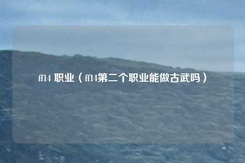 ff14 职业（ff14第二个职业能做古武吗）