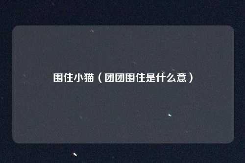 围住小猫（团团围住是什么意）