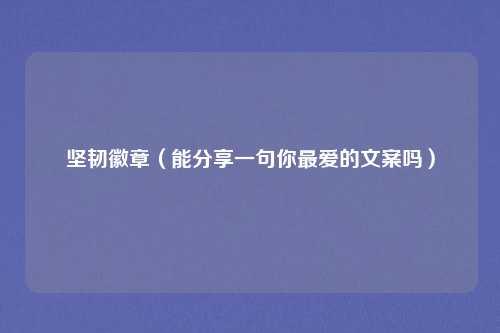 坚韧徽章（能分享一句你最爱的文案吗）