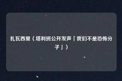 扎瓦西里（塔利班公开发声「我们不是恐怖分子」）