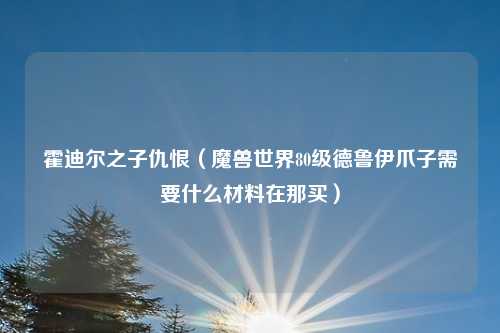 霍迪尔之子仇恨（魔兽世界80级德鲁伊爪子需要什么材料在那买）