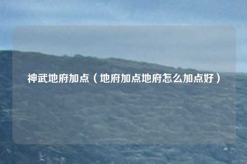 神武地府加点（地府加点地府怎么加点好）