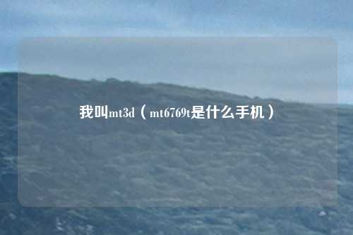 我叫mt3d(mt6769t是什么手机)