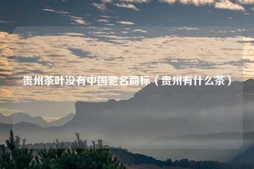 贵州茶叶没有中国驰名商标（贵州有什么茶）