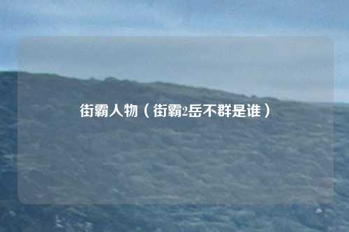 街霸人物（街霸2岳不群是谁）