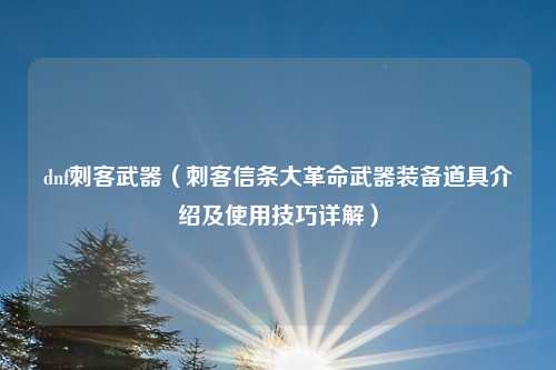 dnf刺客武器（刺客信条大革命武器装备道具介绍及使用技巧详解）
