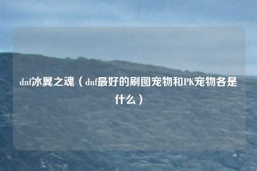 dnf冰翼之魂（dnf最好的刷图宠物和PK宠物各是什么）