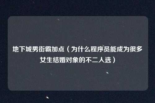 地下城男街霸加点（为什么程序员能成为很多女生结婚对象的不二人选）