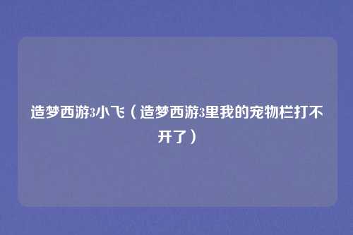 造梦西游3小飞（造梦西游3里我的宠物栏打不开了）