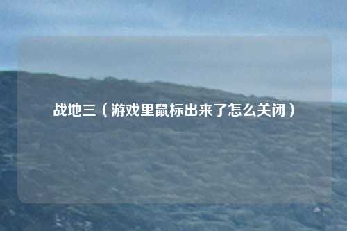 战地三（游戏里鼠标出来了怎么关闭）