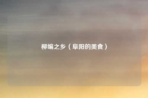 柳编之乡(阜阳的美食)