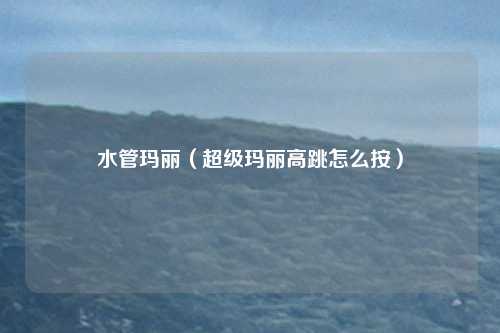 水管玛丽(超级玛丽高跳怎么按)