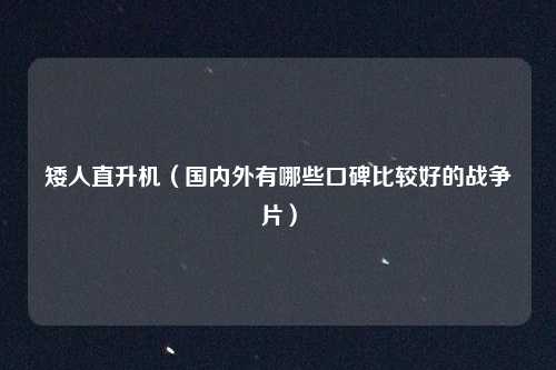 矮人直升机(国内外有哪些口碑比较好的战争片)