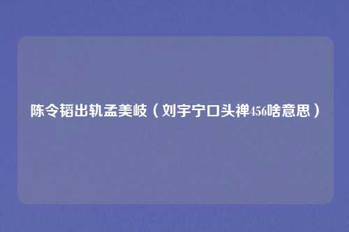 陈令韬出轨孟美岐（刘宇宁口头禅456啥意思）