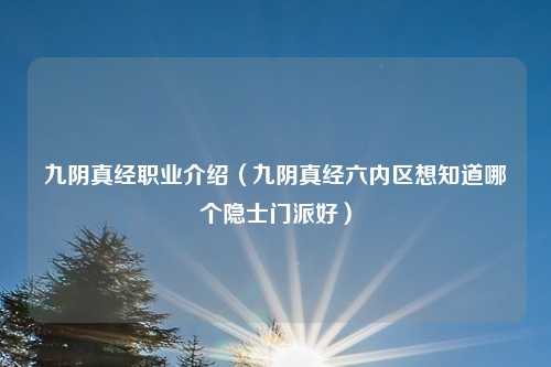 九阴真经职业介绍（九阴真经六内区想知道哪个隐士门派好）