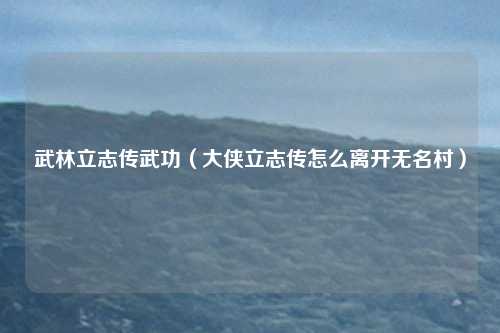 武林立志传武功(大侠立志传怎么离开无名村)