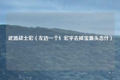 武器战士宏（左边一个纟宏字去掉宝盖头念什）