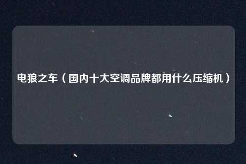 电狼之车(国内十大空调品牌都用什么压缩机)